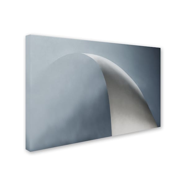 Gilbert Claes 'White Bow' Canvas Art,22x32